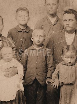 Julia Ludowika Helmig